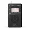 XHDATA D-226 Radio