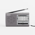 XHDATA D-219 Radio（Light green/white 1k)