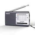 XHDATA D-219 Radio（Light green/white 1k)