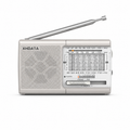 XHDATA D-219 Radio