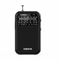 XHDATA D-220 Radio