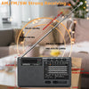 XHDATA D-368 radio