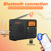 XHDATA D-109WB radio