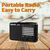XHDATA D-328 radio