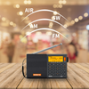 XHDATA D-808